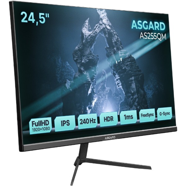Фото - Монитор игровой ASGARD Gaming AS255QM Black