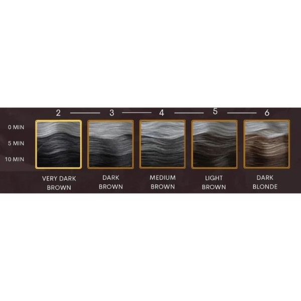 Фото - Система маскування сивини Barberito Cover Blend - 2 Very Dark Brown 60 мл (5908015590002)