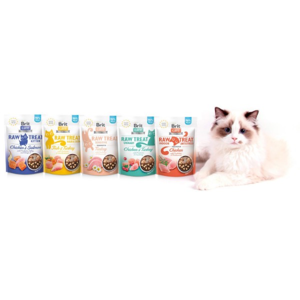 Фото - Ласощі для котів Brit Raw Treat Freeze-dried Kitten курка і лосось 40 г (8595602569533)