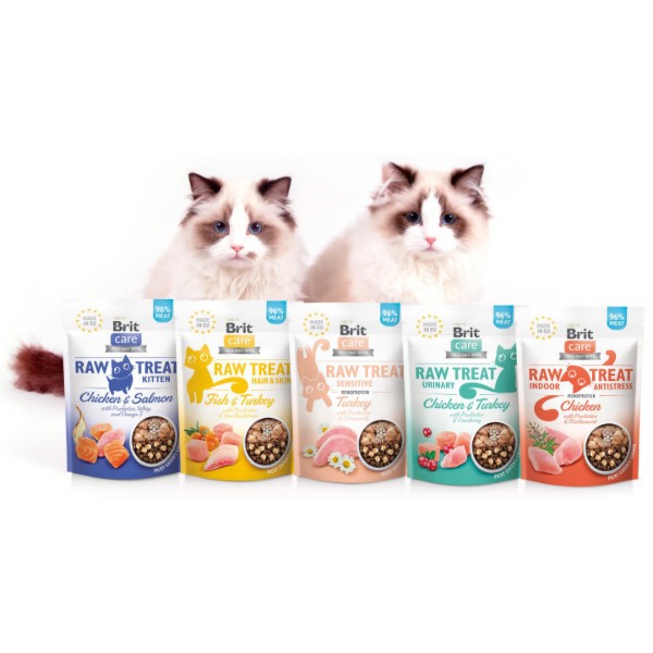 Фото - Ласощі для котів Brit Raw Treat Freeze-dried Kitten курка і лосось 40 г (8595602569533)
