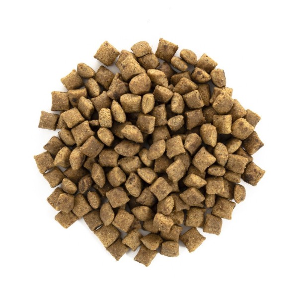 Фото - Сухий корм для котів Brit Care Cat Grain Free Sterilized Weight Control для стерилізованих з надмірною вагою з качкою та індичкою 7 кг (8595602540785)