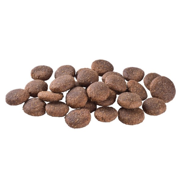 Фото - Сухой корм для собак Brit Care Dog Grain-free Adult Large Breed беззерновой с лососем 3 кг (8595602558902)