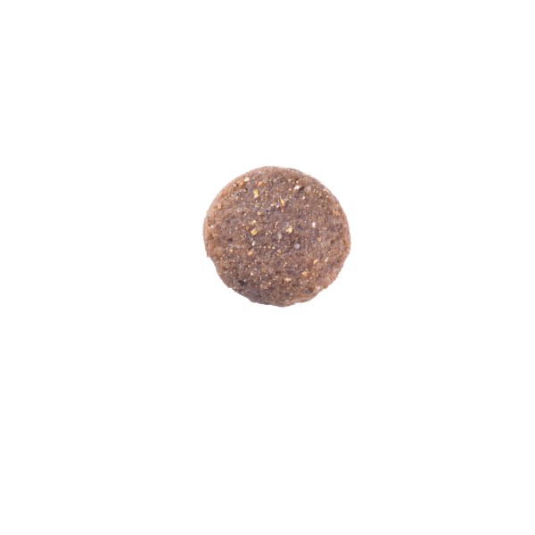 Фото - Сухой корм для собак Brit Care Dog Grain-free Adult Large Breed беззерновой с лососем 3 кг (8595602558902)