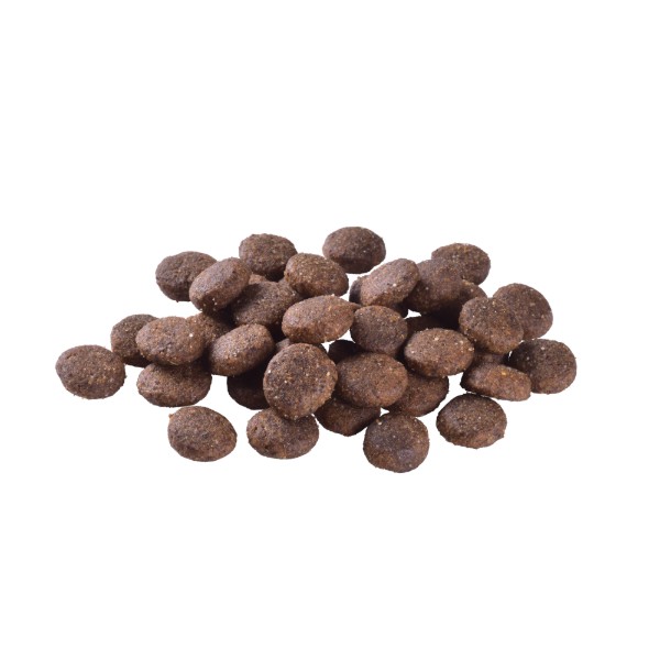 Фото - Сухой корм для собак Brit Care Dog Grain-free Junior Large Breed беззерновой с лососем 12 кг (8595602558865)