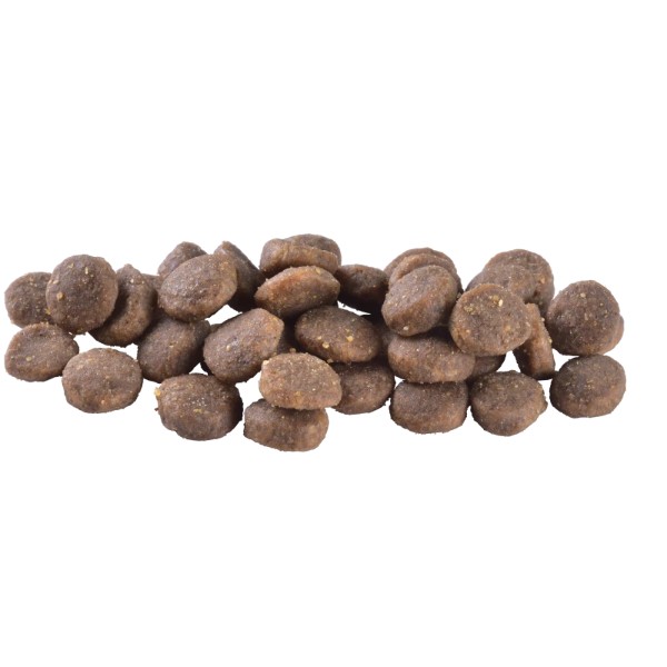 Фото - Сухий корм для собак Brit Care Dog Grain-free Puppy з лососем 1 кг (8595602558827)