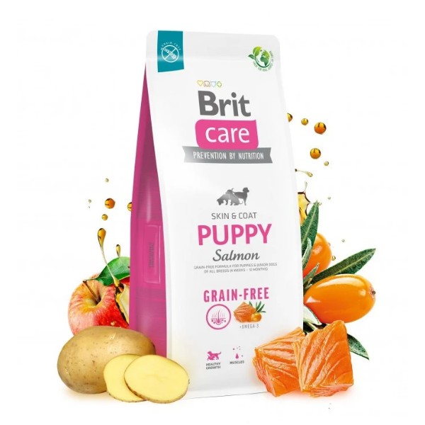 Фото - Сухий корм для собак Brit Care Dog Grain-free Puppy беззерновий з лососем 3 кг (8595602558810)