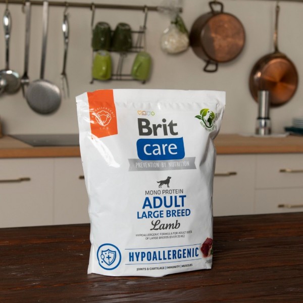 Фото - Сухой корм для собак Brit Care Dog Hypoallergenic Adult Large Breed с ягненком 1 кг (8595602559091)