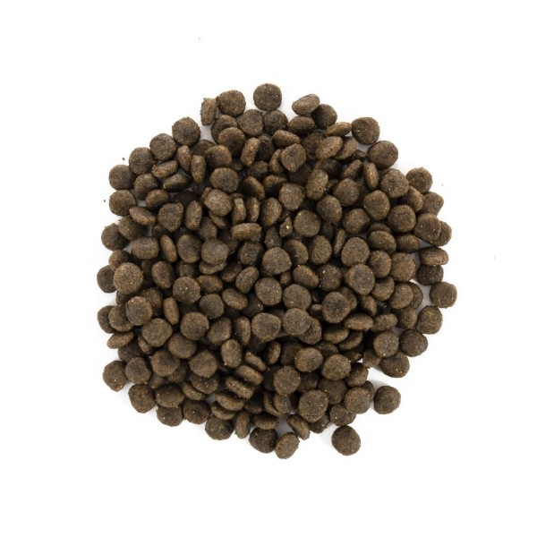 Фото - Сухой корм для собак Brit Care Grain Free Mini Hair Skin с лососем и селедкой 7 кг (8595602520244)