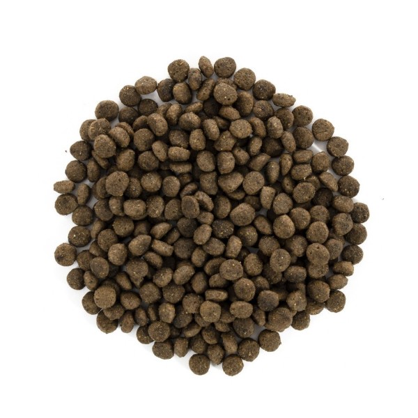 Фото - Сухой корм для собак Brit Care Grain Free Mini Light Sterilised для мелких пород с лишним весом или стерилизованных с кроликом и лососем (8595602521081)