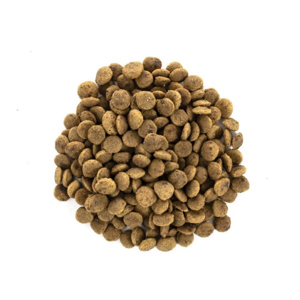 Фото - Сухой корм Brit Care для кошек крупных пород с уткой и курицей 0.4 кг (8595602540921)
