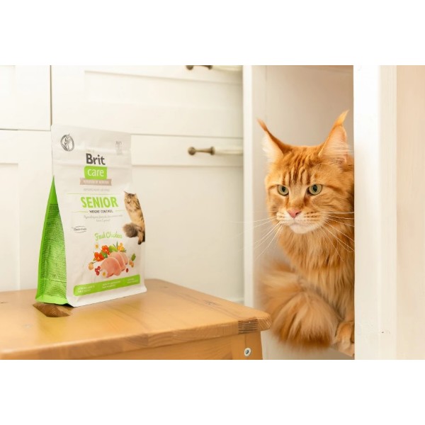 Фото - Сухой корм Brit Care контроль веса для взрослых котов с курицей 0.4 кг (8595602540952)