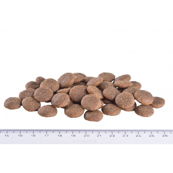 Фото - Сухой корм для собак Brit VetDiets Grain Free VetDiet Dog Gastrointestinal при нарушении пищеварения с селедкой лососем и горохом 2 кг (8595602528134)