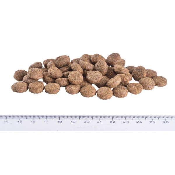 Фото - Сухой корм для собак Brit VetDiets Grain Free VetDiet Dog Obesity для коррекции веса беззерновой с ягненком индейкой и горохом 2 кг (8595602528073)