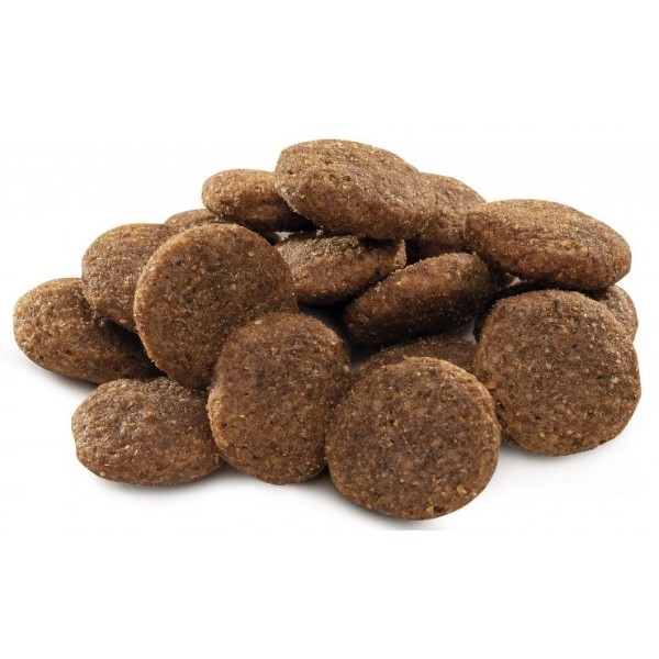 Фото - Сухой корм для собак Brit Premium Dog Adult L для больших пород с курицей 8 кг (8595602526451)