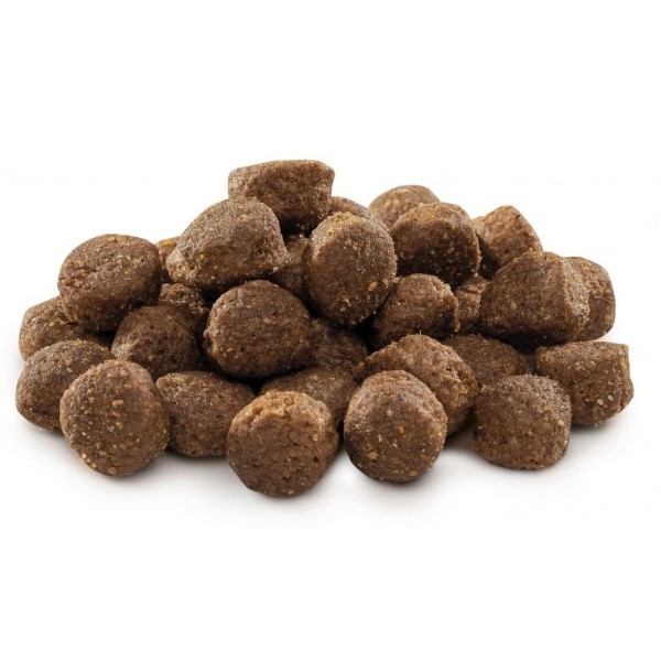 Фото - Сухой корм для собак Brit Premium Dog Adult M с весом 10-25 кг с курицей 3 кг (8595602526352)