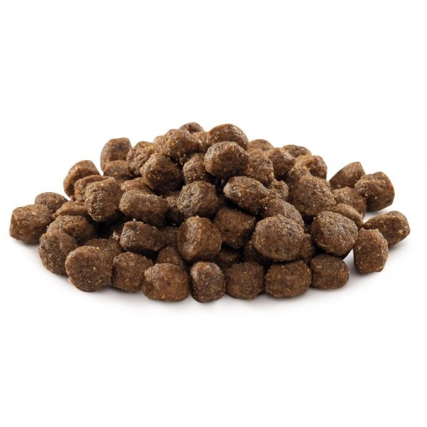 Фото - Сухой корм для собак Brit Premium Dog Adult S для мелких пород весом 1-10 кг с курицей 8 кг (8595602526307)