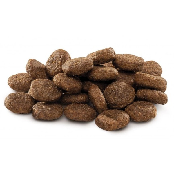 Фото - Сухой корм для собак Brit Premium Dog Junior L для щенков и собак больших пород с курицей 3 кг (8595602526420)