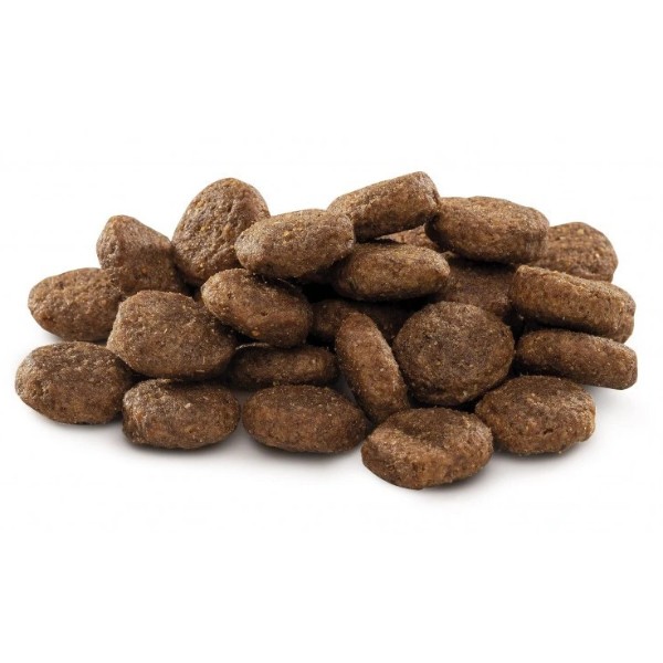 Фото - Сухой корм для собак Brit Premium Dog Junior L для щенков и больших пород с курицей 15 кг (8595602526437)