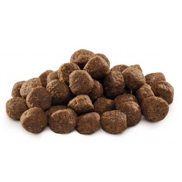 Фото - Сухой корм для собак Brit Premium Dog Junior M для щенков и средних пород от 1 до 12 месяцев с курицей 3 кг (8595602526321)