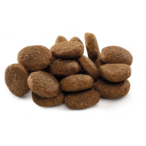 Фото - Сухой корм для собак Brit Premium Dog Junior XL для щенков и гигантских пород с курицей 3 кг (8595602526499)