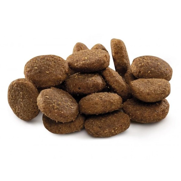 Фото - Сухой корм для собак Brit Premium Dog Junior XL для щенков и гигантских пород с курицей 15 кг (8595602526505)