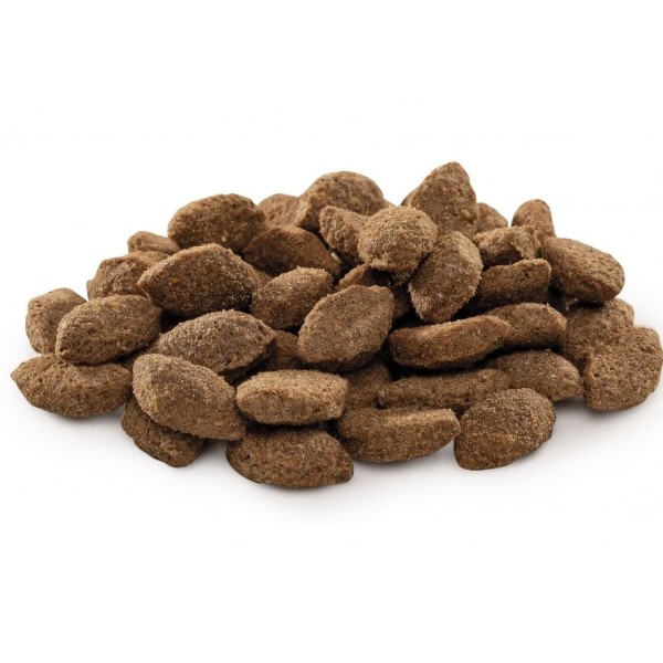 Фото - Сухой корм для собак Brit Premium Dog Light с избыточным весом с индейкой 3 кг (8595602526581)