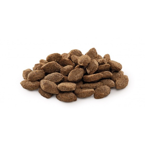 Фото - Сухой корм для собак Brit Premium Dog Light с избыточным весом с индейкой 15 кг (8595602526604)