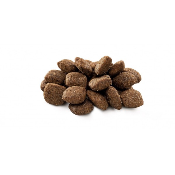 Фото - Сухий корм для собак Brit Premium Dog Sensitive Lamb для усіх порід з чутливим травленням з ягнятиною 3 кг (8595602526628)