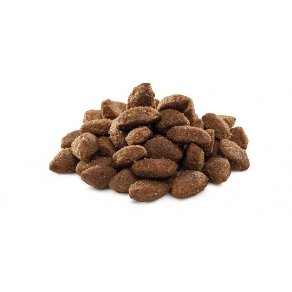 Фото - Сухой корм для собак Brit Premium Dog Sport для всех пород с высокими затратами энергии с курицей 3 кг (8595602526666)