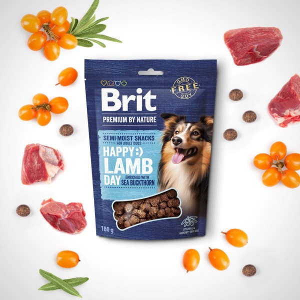 Фото - Ласощі для собак Brit Premium Semi-moist Snacks Lamb with Sea Buckthorn напіввологі з ягням і обліпихою 180г (8595602573943)