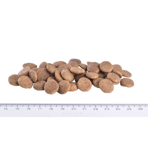 Фото - Сухой корм для собак Brit VetDiets Dog Gastrointestinal-Low fat с сельдью 2 кг (8595602559626)