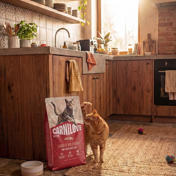 Фото - Сухой корм для кошек Carnilove Active Beef & Venison Sterilised для стерилизованных говядина и оленина 400 г (8595602581672)