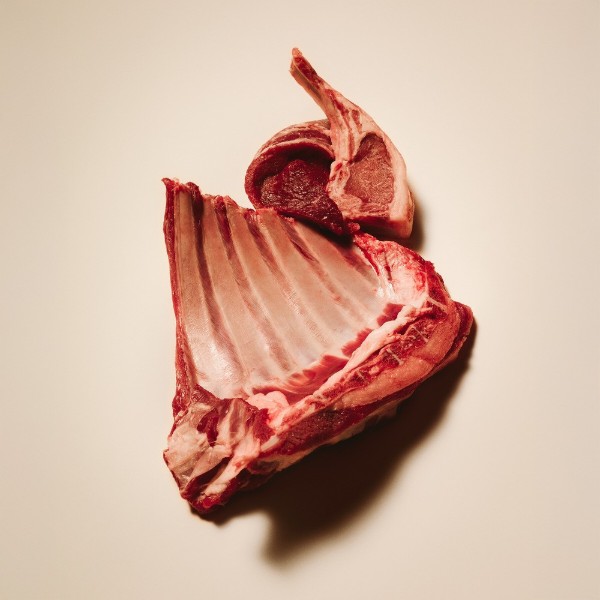 Фото - Сухой корм для кошек Carnilove Active Lamb & Wild Boar Sterilised для стерилизованного ягненок и дикий кабан 400 г (8595602581429)