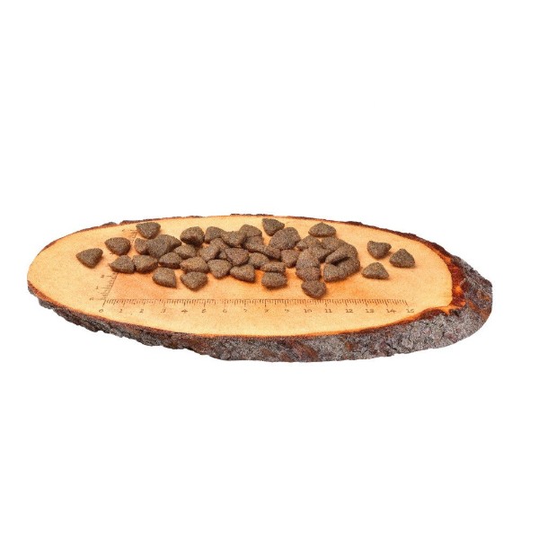 Фото - Сухой корм для собак Carnilove Adult Salmon 1,5 кг (8595602508914)