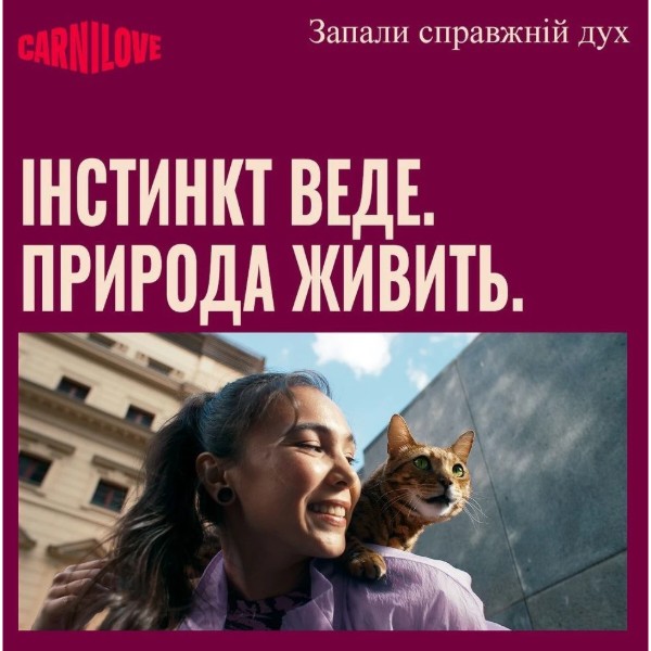Фото - Паштет для кошек Carnilove Chicken&Lamb курица и ягненок 100г (8595602582860)