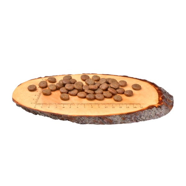 Фото - Сухой корм для собак Carnilove Fresh Carp and Trout for Adult dogs 1,5 кг (8595602527533)