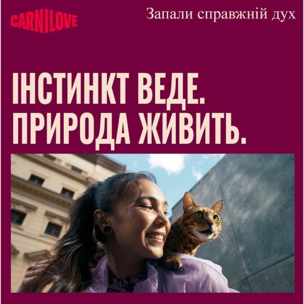 Фото - Набор влажного корма для кошек Carnilove Jelly Multipack в желе в ассортименте 12x85 г (8595602582808)