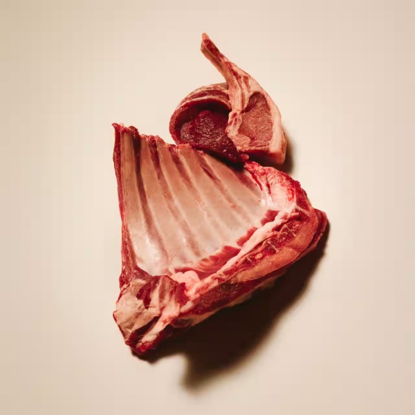 Фото - Влажный корм для собак Carnilove Lamb & Wild Boar 400 г (8595602582822)