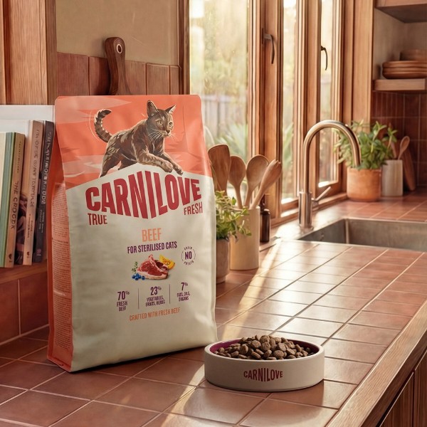 Фото - Сухой корм для кошек Carnilove True Fresh Beef Kitten для котят говядина 400 г (8595602582280)