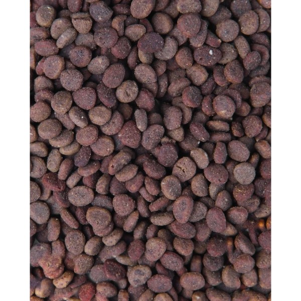Фото - Сухой корм для кошек Carnilove True Fresh Cat Fresh Fish для взрослых с рыбой 340 г (8595602561414)