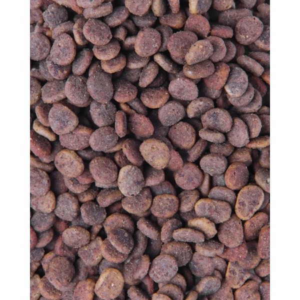 Фото - Сухой корм для кошек Carnilove True Fresh Cat Fresh Turkey для взрослых с индейкой 340 г (8595602561445)