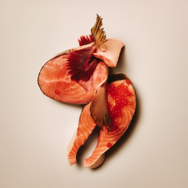 Фото - Сухой корм для кошек Carnilove True Fresh Fish&amp;Turkey Sterilised для стерилизованных рыба и индейка 6 кг (8595602582426)
