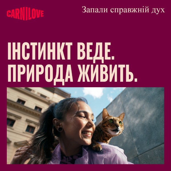 Фото - Сухой корм для кошек Carnilove True Fresh Fish&amp;Turkey Sterilised для стерилизованных рыба и индейка 6 кг (8595602582426)