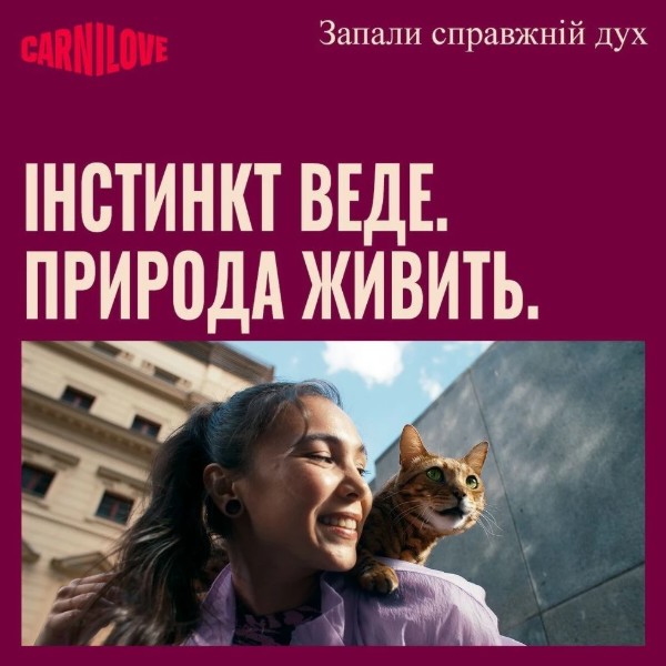 Фото - Паштет для кошек Carnilove Turkey&Salmon индейка и лосось 100г (8595602582891)