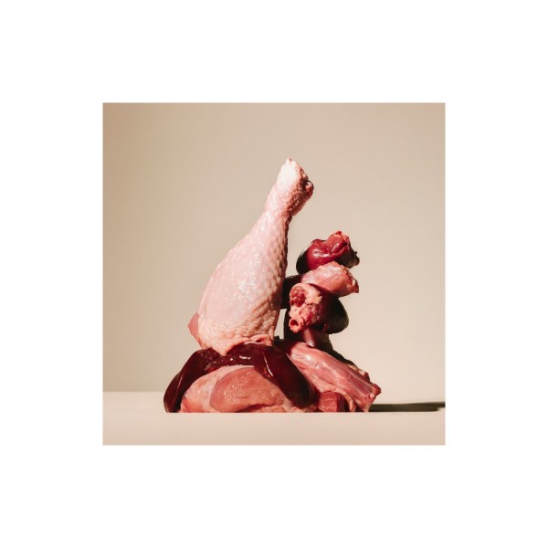 Фото - Паштет для кошек Carnilove Turkey&Salmon индейка и лосось 100г (8595602582877)