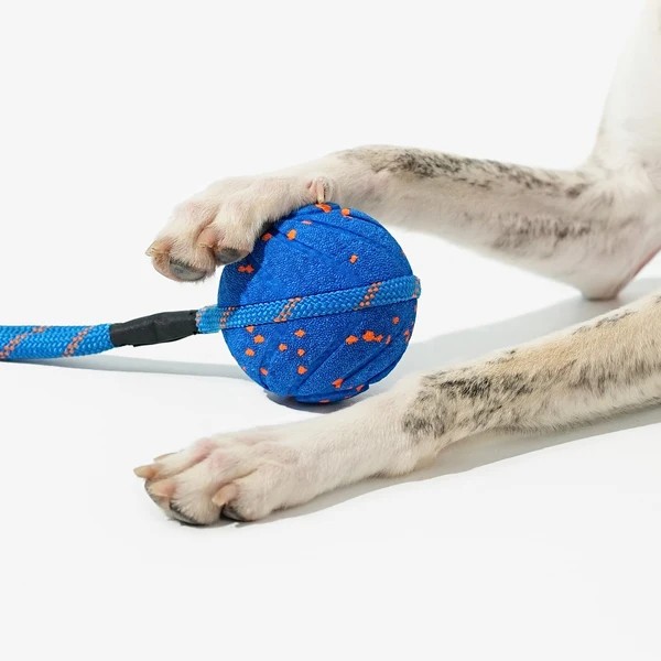 Фото - Интерактивная игрушка для собак Cheerble Wicked Ball Aіir Rope Royal Blue (CWQ03B)