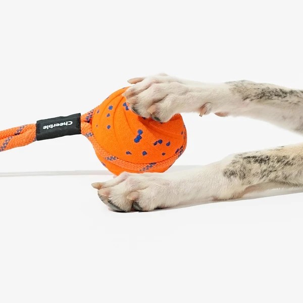 Фото - Интерактивная игрушка для собак Cheerble Wicked Ball Air Rope Bright Orange (CWQ03O)