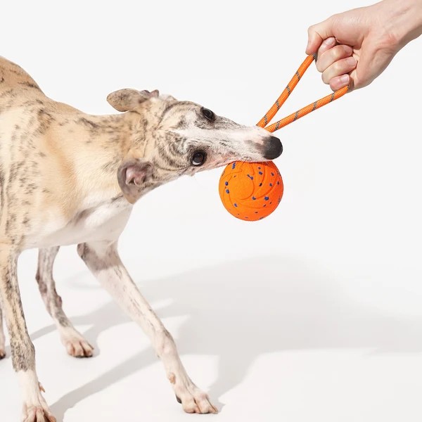 Фото - Интерактивная игрушка для собак Cheerble Wicked Ball Air Rope Bright Orange (CWQ03O)