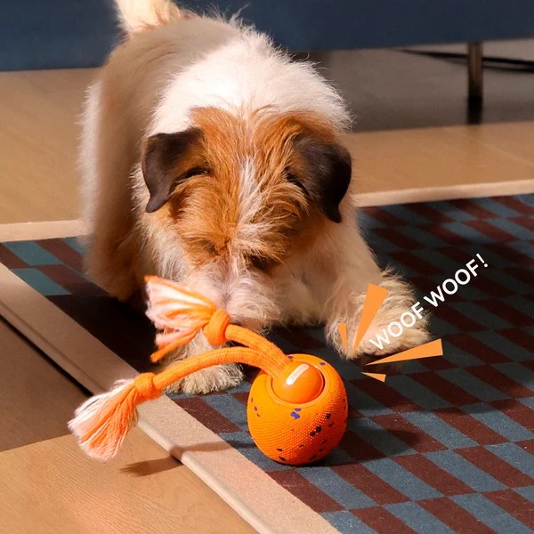 Фото - Интерактивная игрушка для собак Cheerble Wicked Ball Rolly Bright Orange (CWQ07O)
