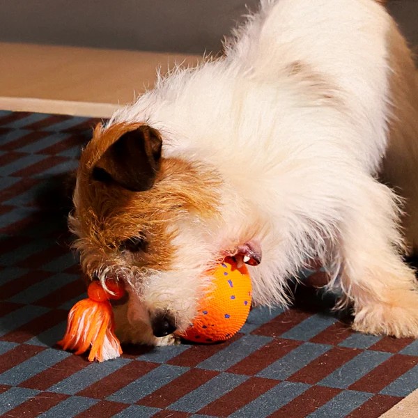 Фото - Интерактивная игрушка для собак Cheerble Wicked Ball Rolly Bright Orange (CWQ07O)